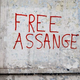Assange dosegel zmago v boju proti izročitvi v ZDA