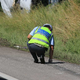Z ilegalnimi migranti bežal pred policijo in trčil v drevo
