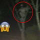 GROZLJIVO: Kaj je ujela kamera?