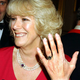 Camilla: »Čeprav ni bila lepotica, je bila privlačna in seksi«