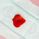 Menstrualna kri: izjemen vir multipotencialnih matičnih celic