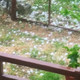 Del države zajele nevihte, lokalno možni sunki nevihtnega piša in toča