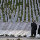 30 LET PO GENOCIDU: Pred 30 leti v Srebrenici pobili več kot 8000 Bošnjakov
