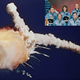 Zgodilo se je pred 40 leti (28. januar 1986): Katastrofa raketoplana Challenger, umre vseh sedem članov posadke