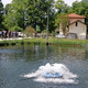 Nadaljujejo oživljanje ribogojnice