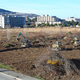 Toncity: eni čistijo, drugi rišejo projekte, tretji prodajajo zemljišče