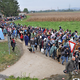 Zaradi sovražnih zapisov o migrantih sodišče obsodilo Martina Česnja
