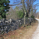 GeoKarst je za zdaj še geopark v nastajanju