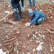 V novi številki Primorskih novic preberite