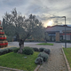 Adriafin bi več Vinakopra, zato snubi male lastnike