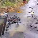Cesta za Lazaret bo še dolgo neprevozna