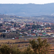 V novi številki Primorskih novic preberite