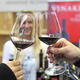 V Ljubljani jutri Vinski univerzum