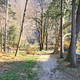 Park bodo urejali z mislijo na ljudi in človeško ribico