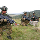 Mineva 75 let od ustanovitve zveze Nato