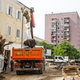 Stara drevesa se poslavljajo od Muzejskega trga (FOTO)