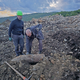 400-kilogramska zverina zarita v zemlji čakala 108 let