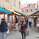 “Knjiga bo rešila svet”