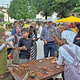 Pastirčkov dan vabi s celodnevnim dogajanjem