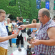 Festival vipavskih vin kulinarike zaživel v prenovljeni podobi (FOTO)