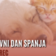 13. marca obeležujemo svetovni dan spanja