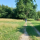 V Vrtojbi bodo uredili botanični park, kot ga pri nas še ni