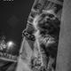 Kako ustvarite popolno fotografsko pripoved?