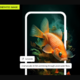 Adobe Firefly zdaj tudi na mobilnih napravah