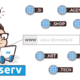 Izbira prave domene: od ideje do registracije