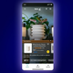 Amazon uvaja Lens Live