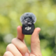 DJI Mic 3: lavalier mikrofon z novimi funkcijami