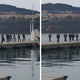 SKUPINA POLICISTOV PRESENETILA MIMOIDOČE V KOPRU: To so počeli na pomolu (VIDEO)