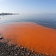 TUDI V IZOLI MORJE RDEČE-ORANŽNO: To so pojasnila morskih biologov (FOTO)