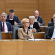 Potrdili novelo zakona o javnih financah, prikimali tudi v NSI