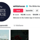 Je to znak, da je Trumpove gonje zoper TikTok konec?