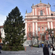 Najvišja smreka v mestu že stoji, za zdaj še v temi