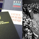 "Pri izdelavi ustave smo imeli pred očmi: parlamentarna ureditev, pravna država"