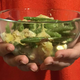 Zakaj večina shujševalnih diet deluje a žal le na kratek rok?