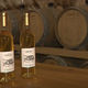 Pikolit in z njim gosposko vino se znova vračata na (celoten) Kras