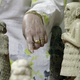 "Restitucija brez precedensa": ZDA vračajo artefakte Iraku