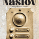 Dragan Velikić: Naslov