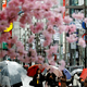 Japonska prihodnje leto računa na razcvet turizma