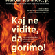 Marcel Štefančič, jr.: Kaj ne vidite, da gorimo!