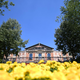 Odpovedi in menjave na Bayreuthskem festivalu se nadaljujejo