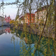 Mestna občina Ljubljana predstavila aktivnosti za omilitev vročinskih valov