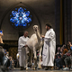 Okoli 1500 ljudi blagoslovilo svoje hišne ljubljenčke: aligatorja, sovo, lemurja, noja in kamelo