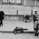 OZP podprl deklaracijo o priznanju gladomora kot genocida