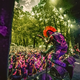 Tolminski Punk Rock Holiday se je že "ogrel"