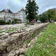 ZVKDS: Najrealnejša slika poškodb se pokaže šele po prvi zimski zmrzali