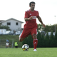 Tudi Klose, Seedorf, Pires, Berbatov in Ćorluka na spektaklu v razprodanih Stožicah